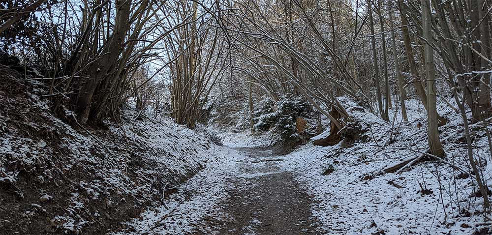 waldweg zum laufen